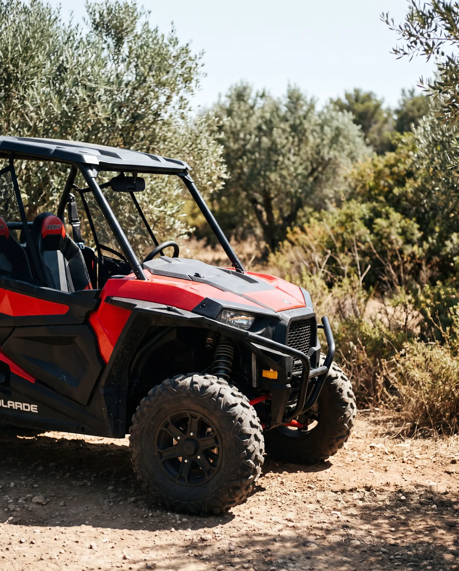 Outlander UTV filosundan bir araç, zeytinlik arazide